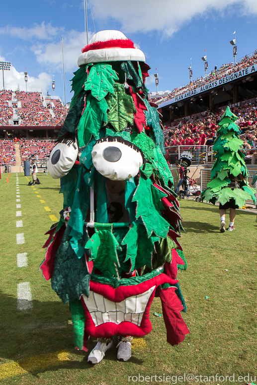 Stanford Homecoming 2014